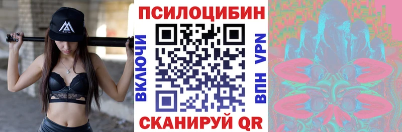 Псилоцибиновые грибы GOLDEN TEACHER  Александровск 